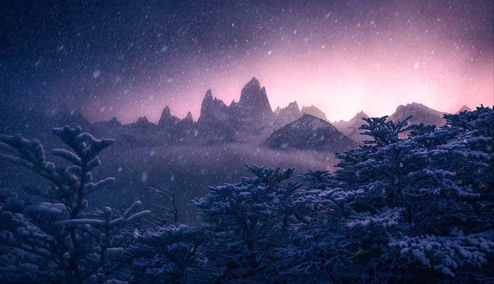 Patagonian trees are covered in snowstorm. the glow of a pink sunrise reveals the sharp mountains of ftizroy beyond.