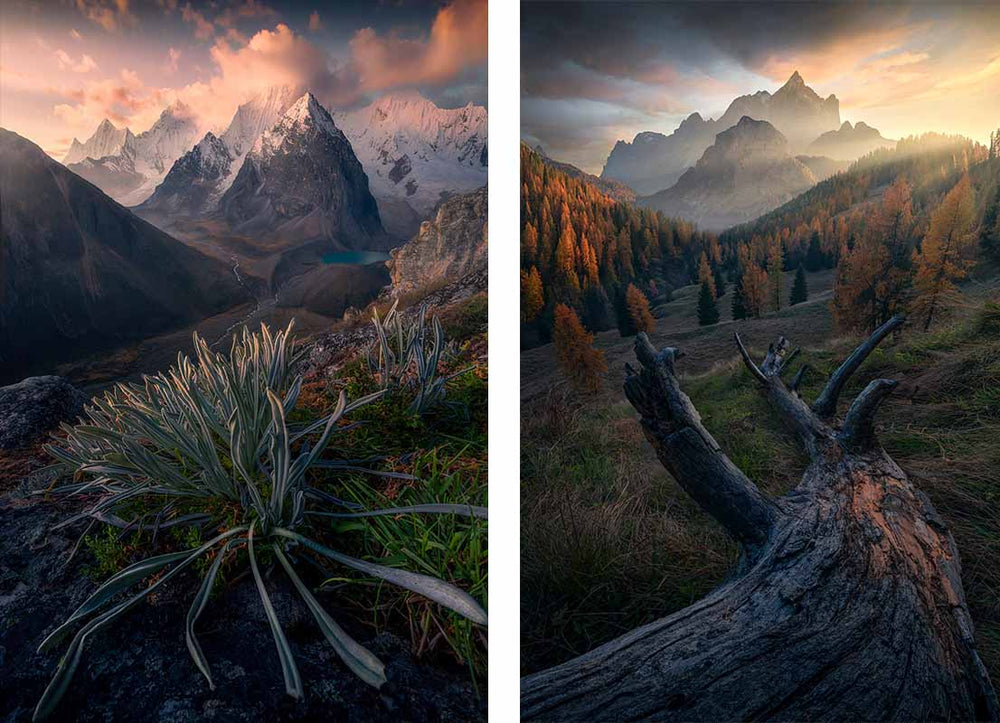 a large green plant with a winding river leading to a glacier lake and high mountains during a pink sunset.