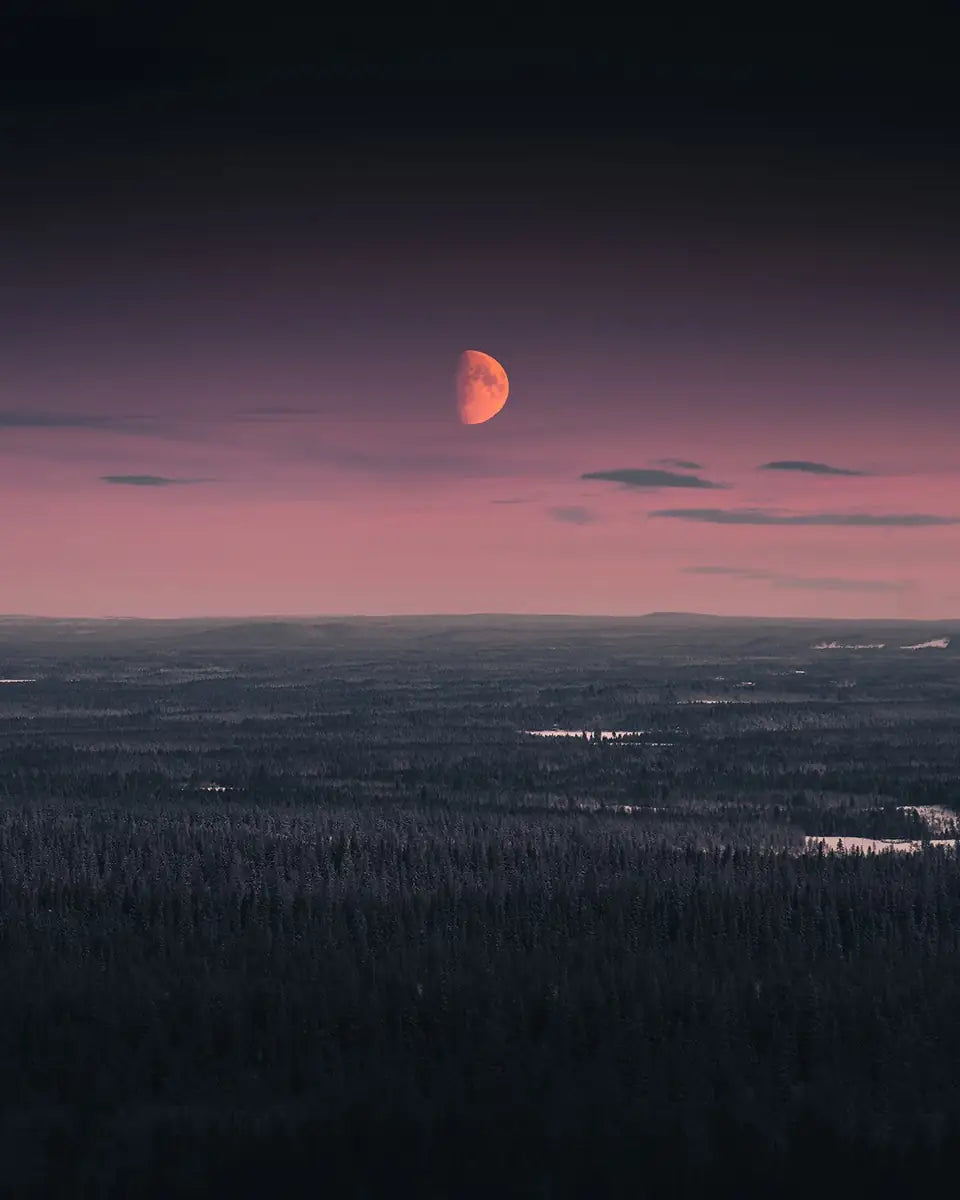 A pink-red half moon above a snowy landscape and layers of dark Forest near Riisitunturi National Park, Finland