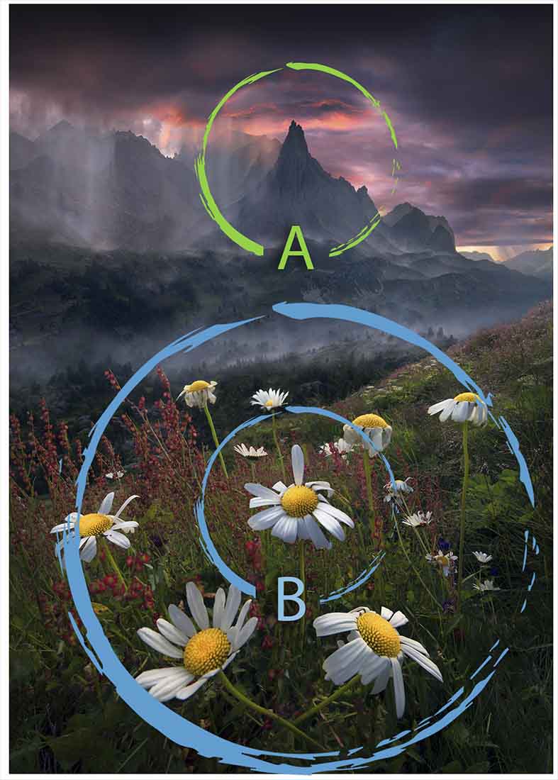 a diagram shows how large white flowers in the foreground connect to the sharp peak in the background.