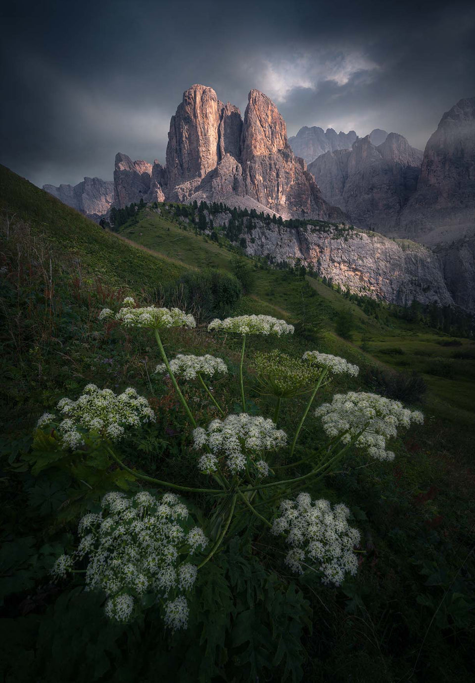 The towering rocky mountain peaks of Passo Gardena under a dark, moody sky, with green hillsides and clusters of white wildflowers in the foreground.
