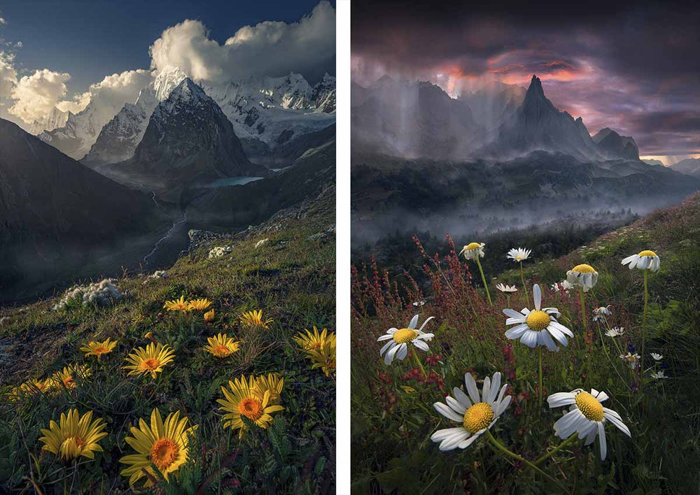 large coloured flowers and high mountain scene with mist and lake in between.