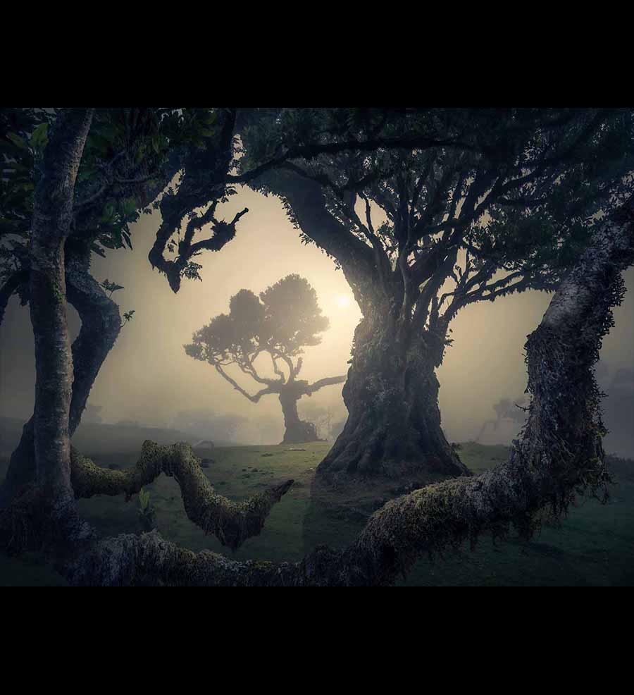 ATMOSPHERE TECHNIQUES