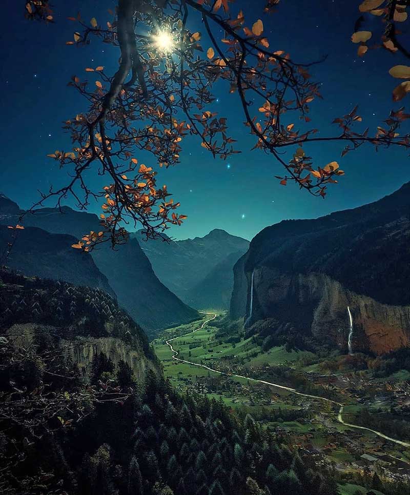 An autumn colour tree frames a nigh photo of lauterbrunnen village. taken from high up you can see the village in the valley and the waterfalls running down the cliffs.