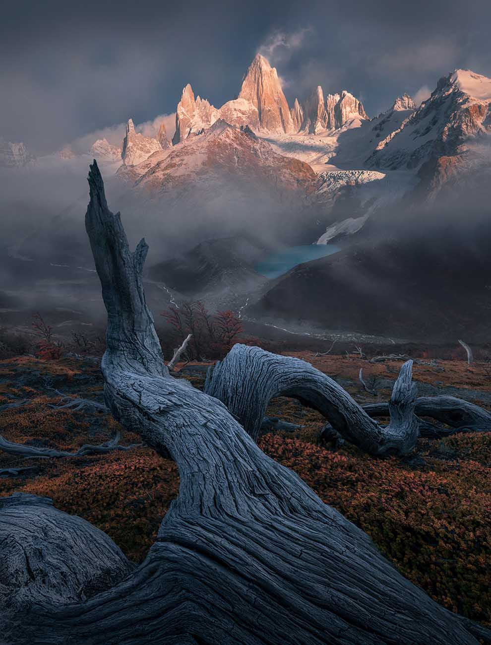 A weathered tree trunk leads through the foreground towards Fitz Roy and its glacier lake.