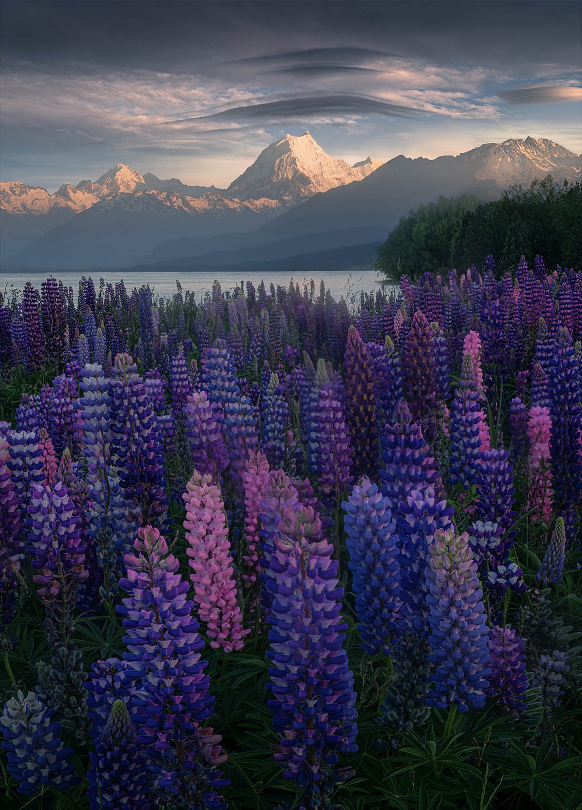 New Zealand