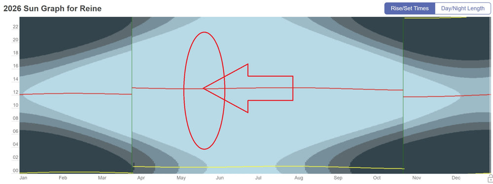 A grab from time and date website which depicts the sun movement in 2026 for Reine.