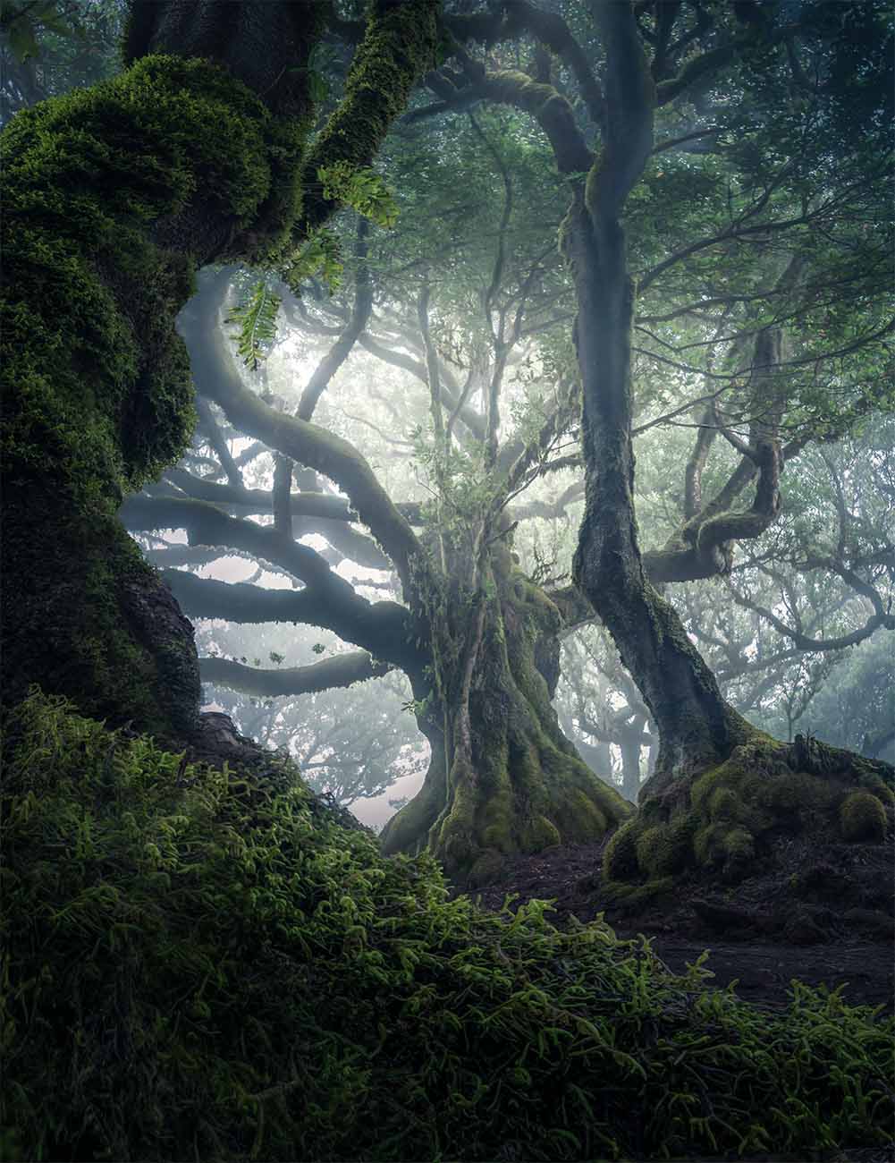 MADEIRA