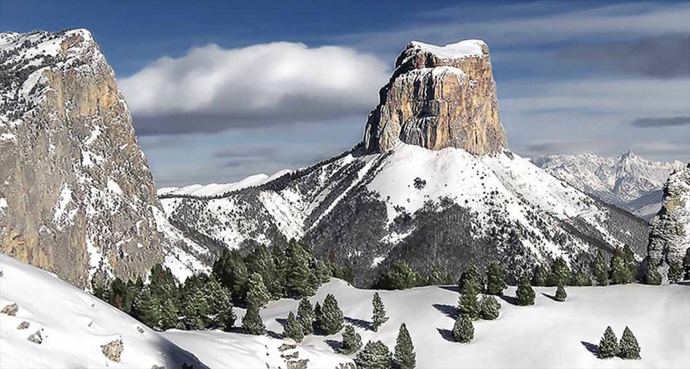 Mont Aiguille in winter, covered by a thick blanket of snow. The green fir trees stand out beneath the mountain, also covered in a fresh layer of snow.