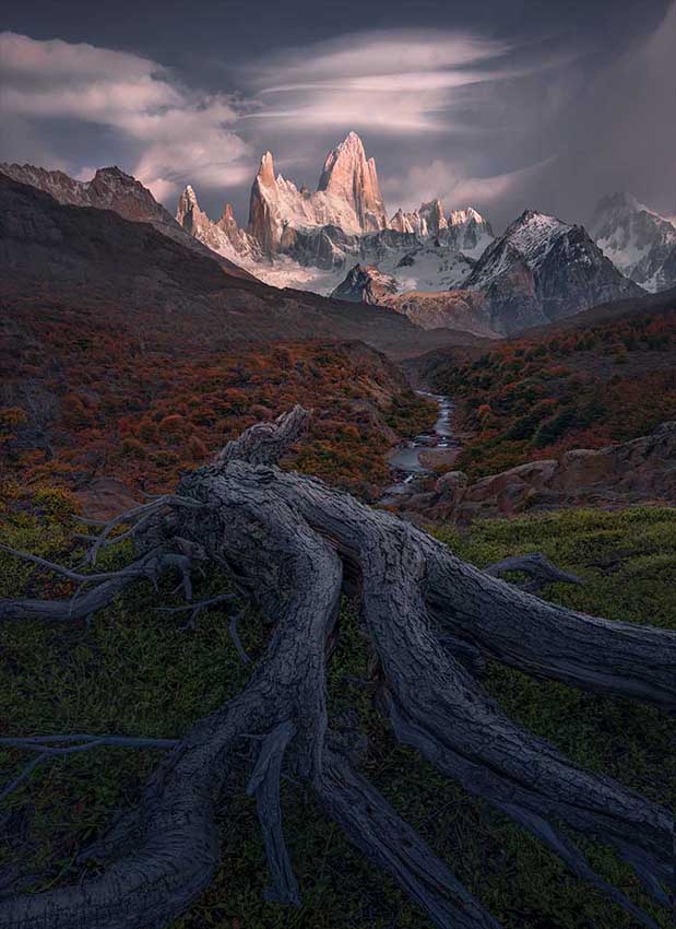 twisted tree trunk roots lead to an orange forest and icy lakes before snowy mountains in Patagonia.
