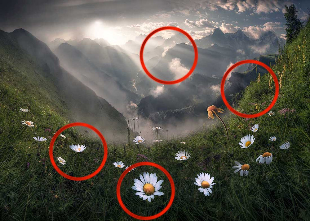 Multiple focus points in a photo of flowers and mountain scene as demonstrated in how to focus stack by Max Rive.