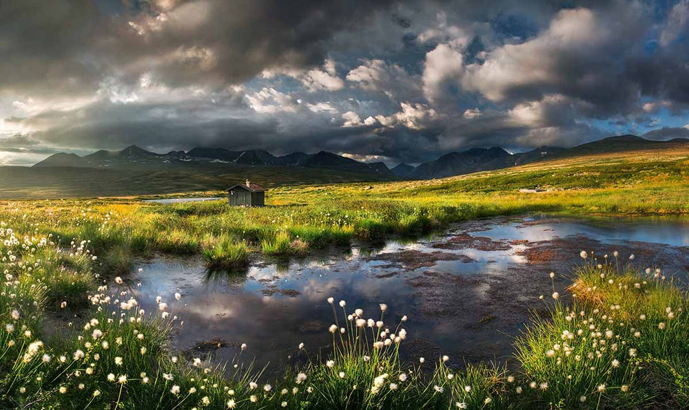a mountain hut sits in a green field behind a small lake surrounded by white flowers. The sky is cloudy and blue.