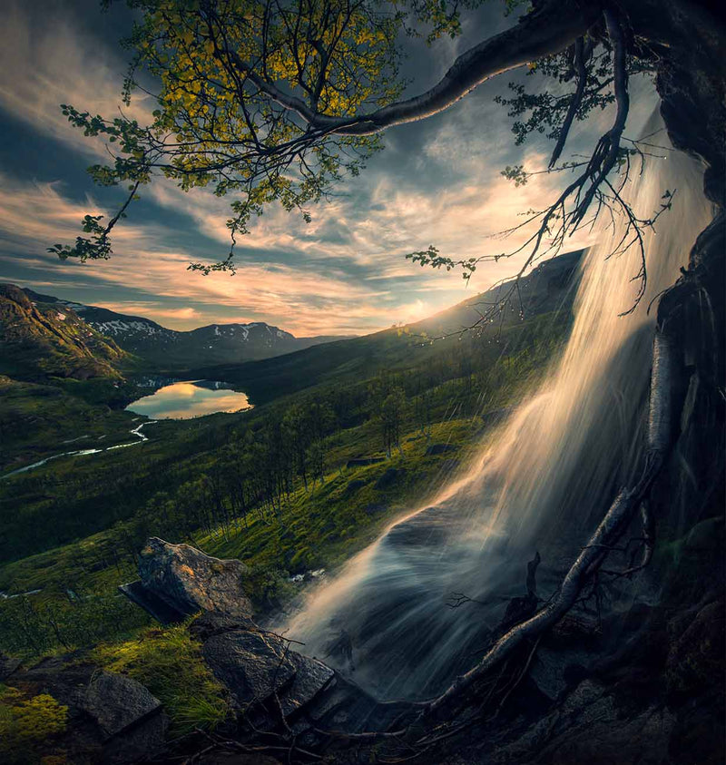 A waterfall beside a twisted tree overlooking a Norwegian mountain valley and a small lake.