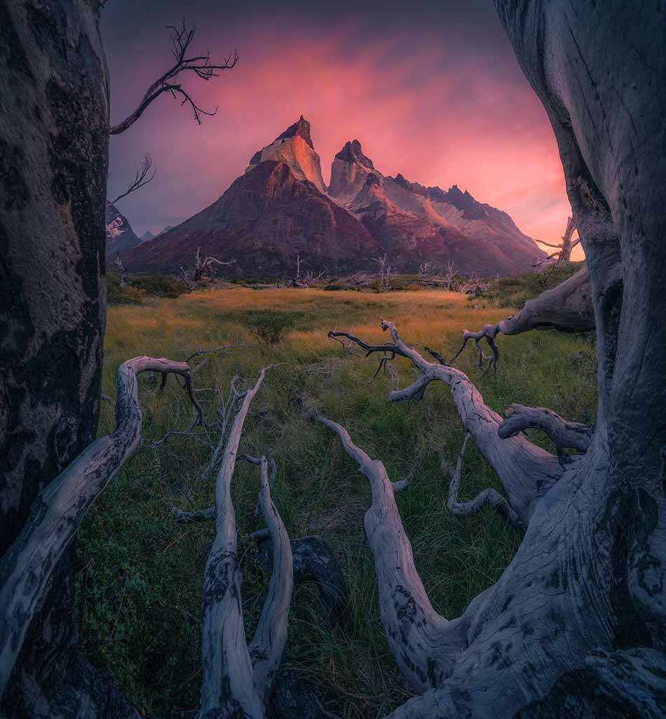 A dramatic landscape photograph of a mountain peak at sunset, framed by large tree trunks in the foreground. The sky is filled with pink, purple, and orange clouds, while the valley below features green grass and weathered, bare tree branches.