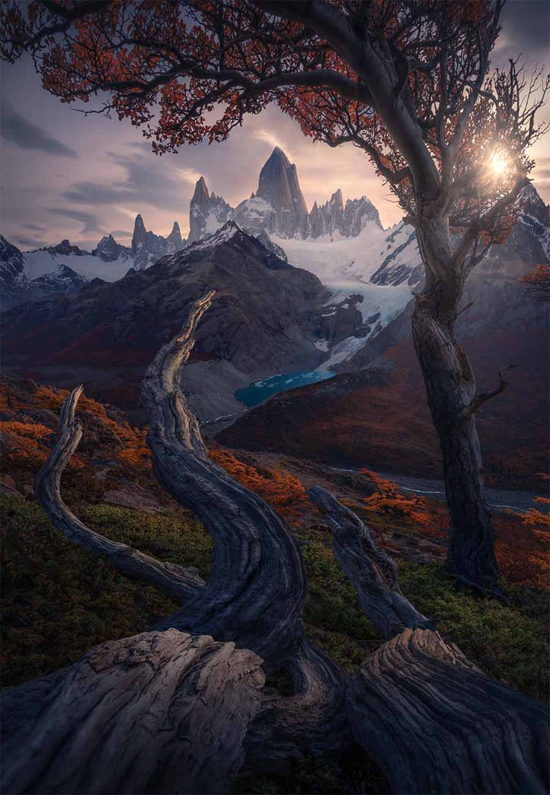 A dramatic landscape in Patagonia, jagged mountain peaks, a turquoise glacier lake, and autumn-colored trees in the foreground, with sunlight breaking through the branches, a gnarled log creates a leading line through the orange forest to the mountains beyond.