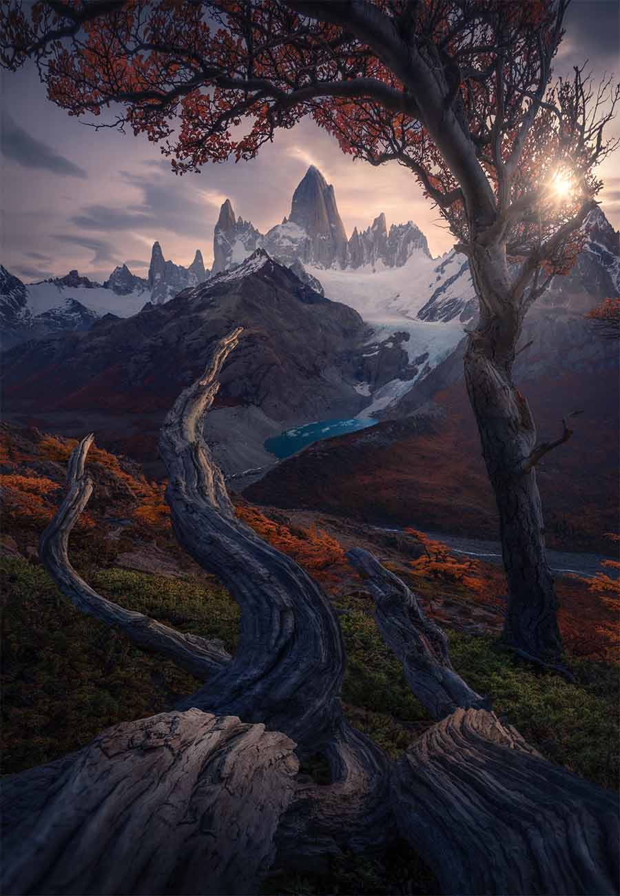 A dramatic landscape in Patagonia, jagged mountain peaks, a turquoise glacier lake, and autumn-colored trees in the foreground, with sunlight breaking through the branches, a gnarled log creates a leading line through the orange forest to the mountains beyond.