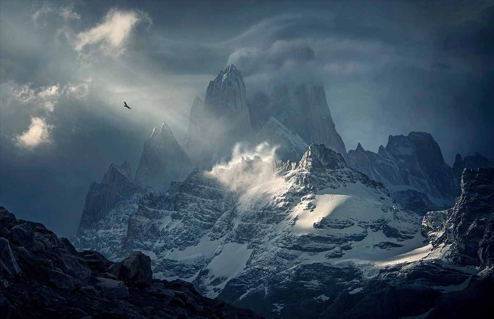 pataognia-tele-lens-bird-fitz-roy