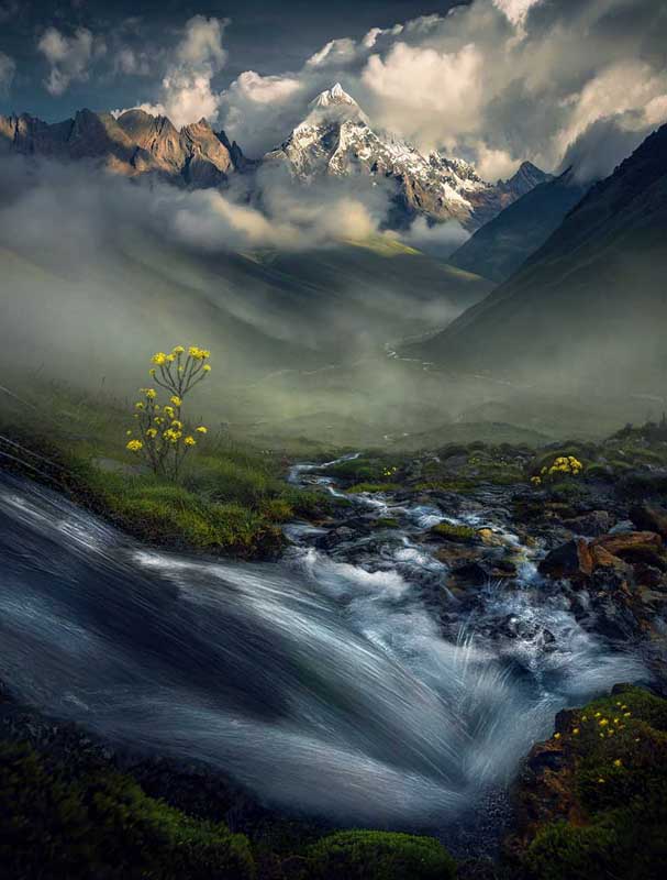 The snow covered mountains of Peru on a misty morning. Beside the stream are yellow flowers in the valley.