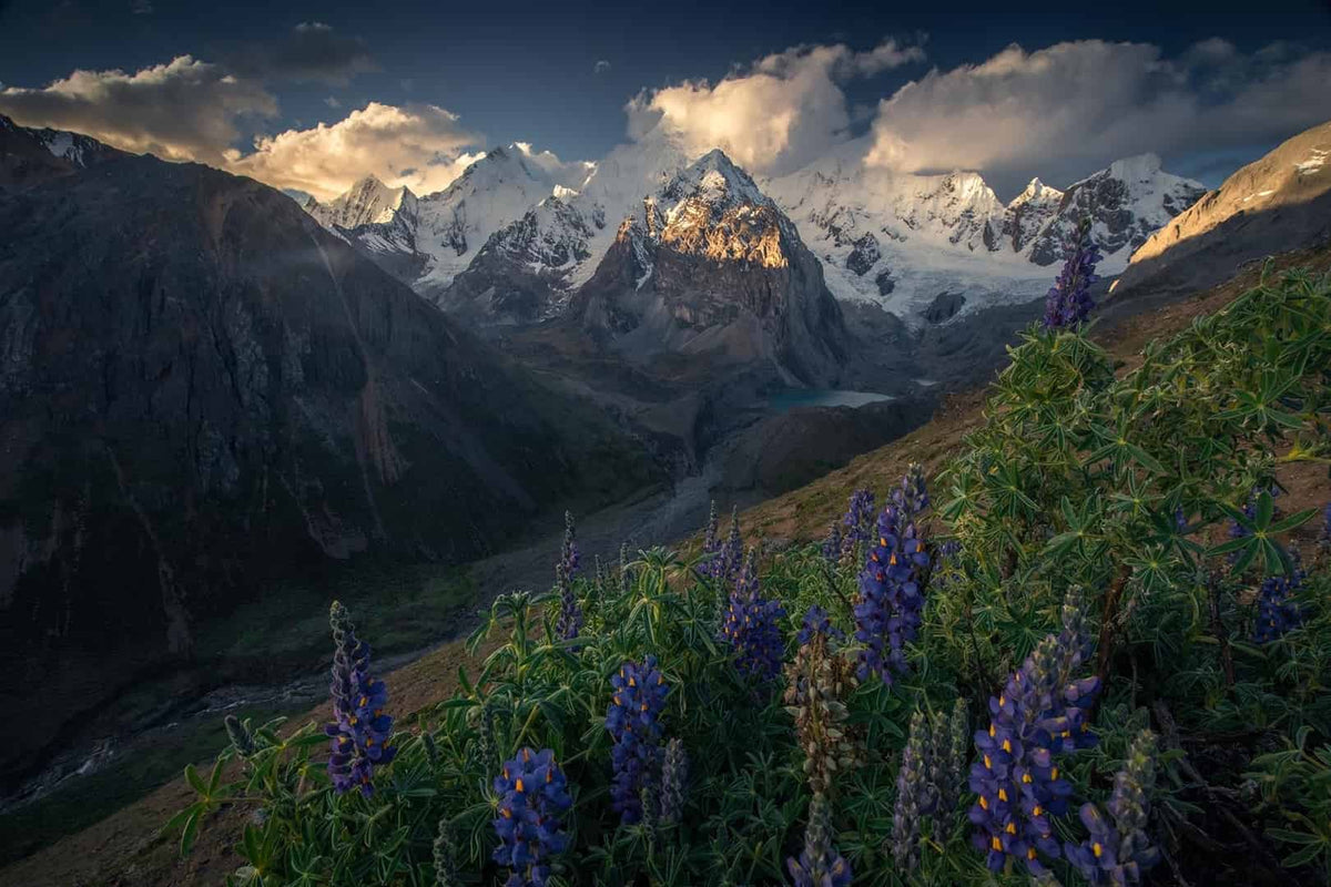 Peru Flower mountain landscape at Siula Grande - summer and spring presets - lightroom edited