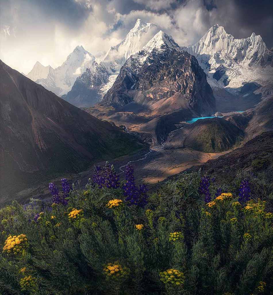 A dramatic mountain landscape with snow-covered peaks, dark rocky slopes, a glacial blue lake, and wildflowers in the foreground, including purple and yellow blossoms.