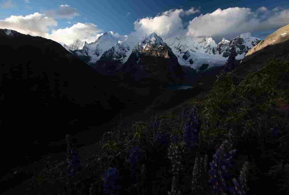 Landscape peru siula grande with flowers - photoshop raw photo