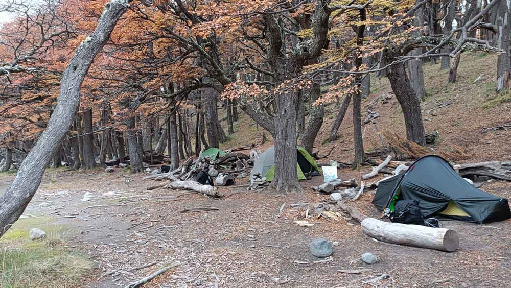 Campamento Poincenot in autumn tents under the trees by the river.