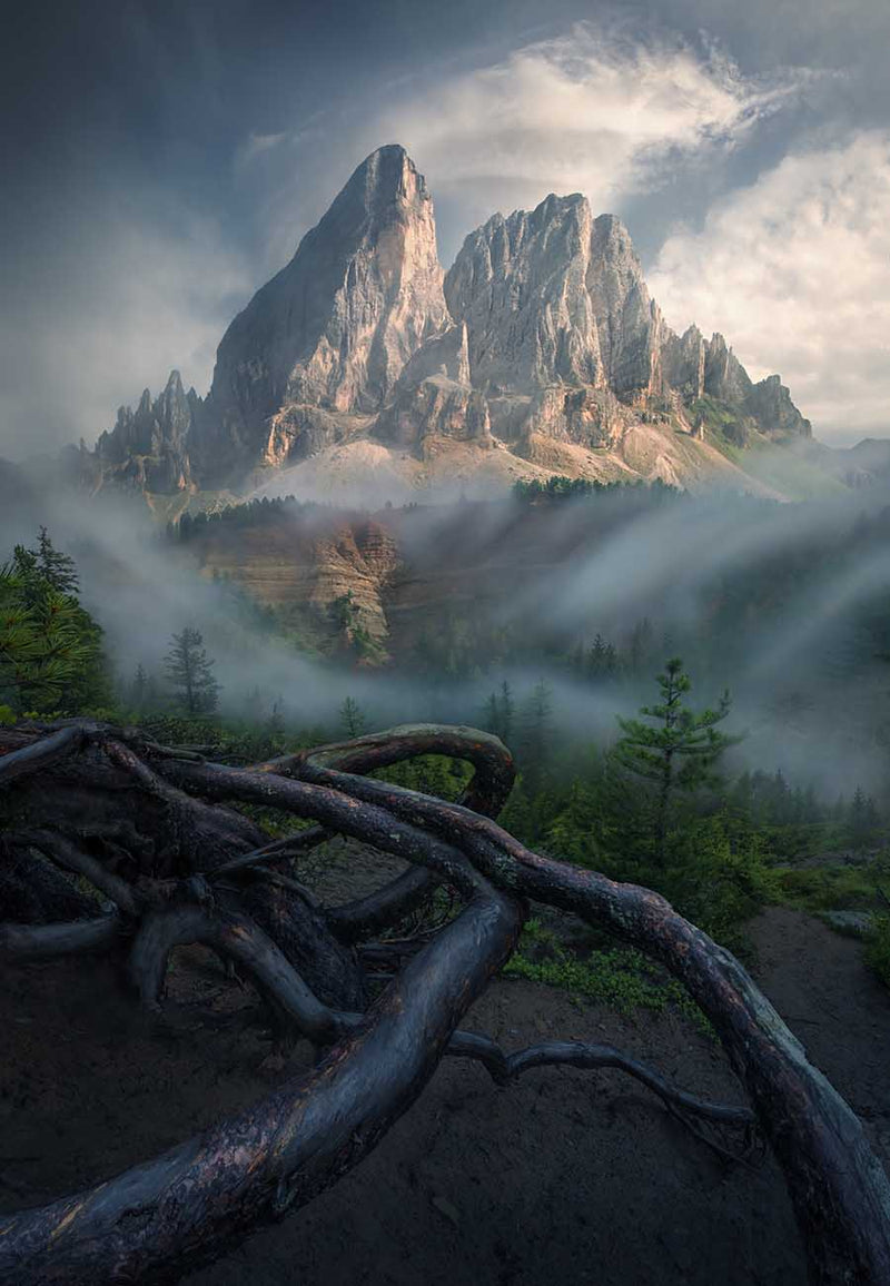 A dramatic mountain landscape in the Dolomites with jagged rocky peaks rising above misty forest, with a network of dark tree roots in the foreground creating leading lines to the mountains beyond.
