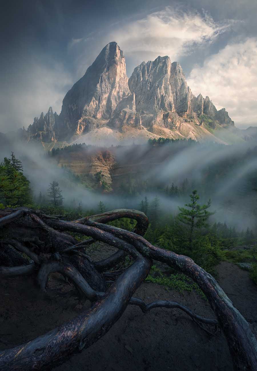 A dramatic mountain landscape in the Dolomites with jagged rocky peaks rising above misty forest, with a network of dark tree roots in the foreground creating leading lines to the mountains beyond.