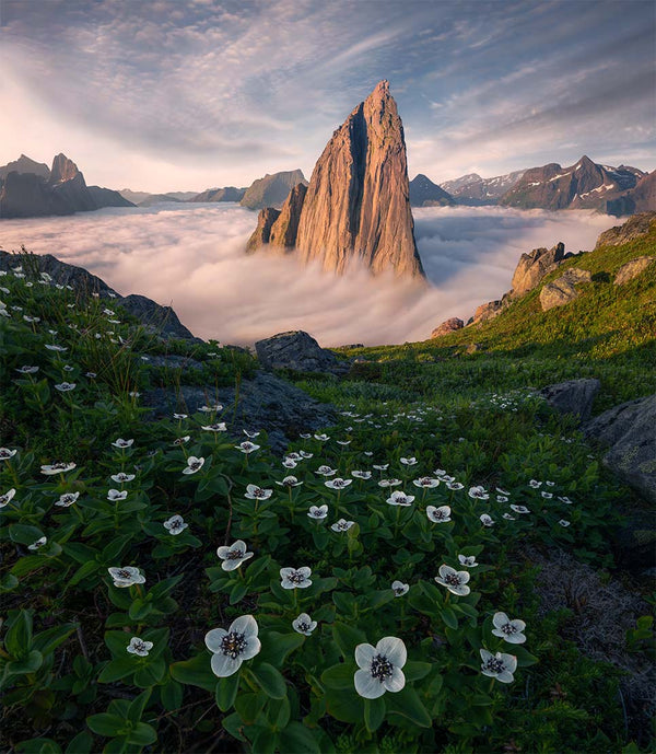 Photography guide Senja