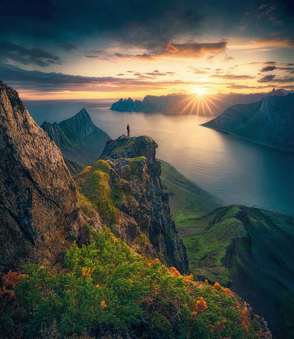 A man stands on a high mountain, there is yellow flowers and a golden sunset as looks over the fjords.