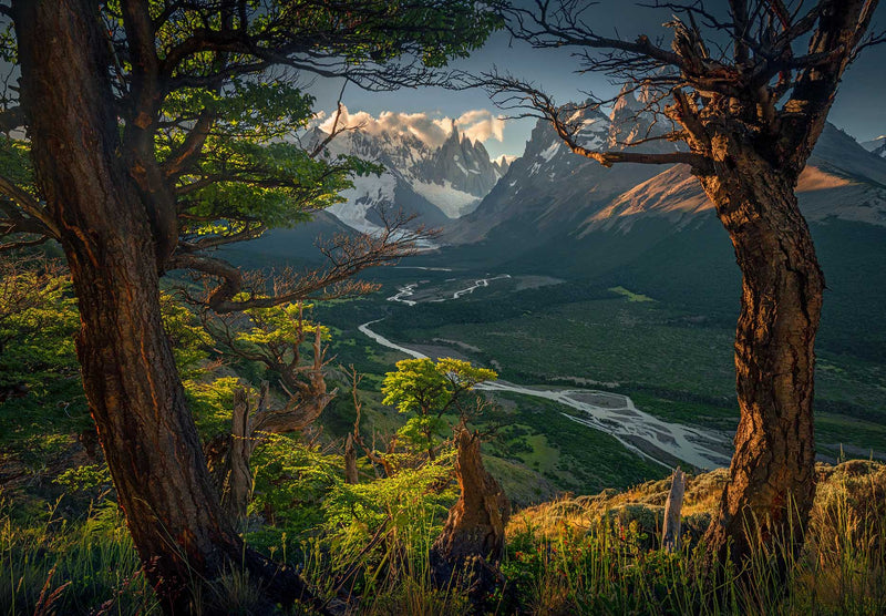 Patagonia Summer Tour