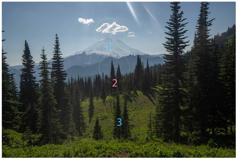 a diagram shows unbalance in a mountain scene with forest.
