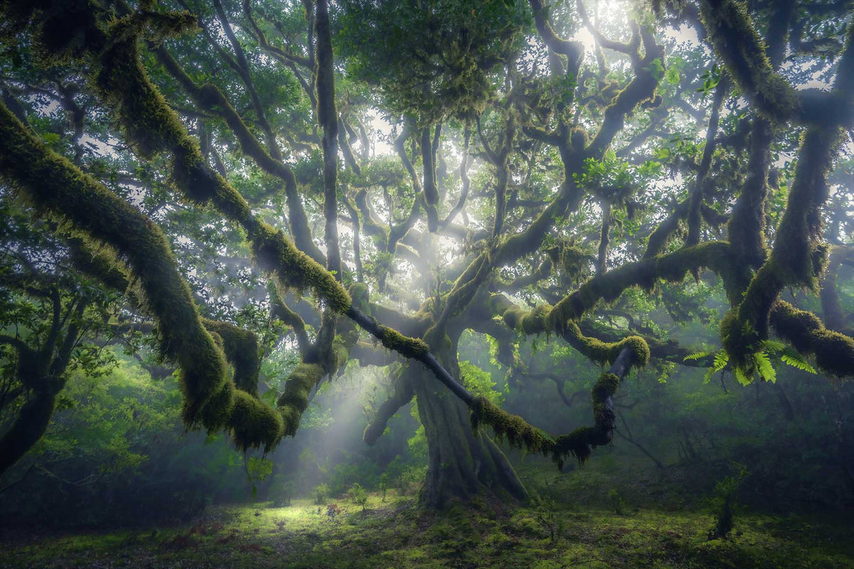 Madeira