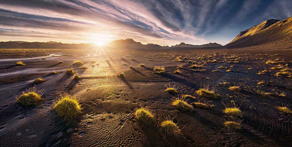 Sunrise in the highlands of Iceland during sunset. the cacti are illuminated with light and long shadows are created.