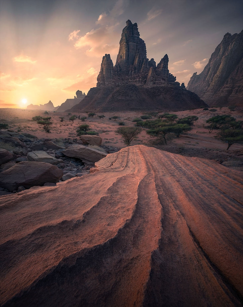 Sunrise saudi