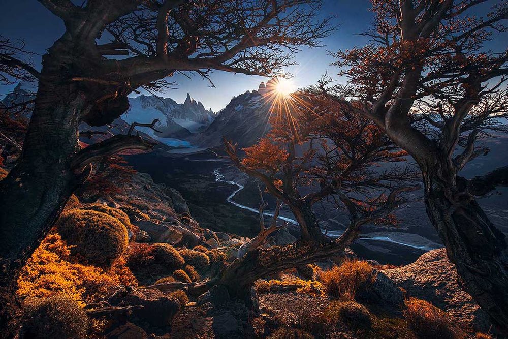 Patagonia autumn with a sunstar between autumn coloured trees. a winding river leads to cerro torre beyond.