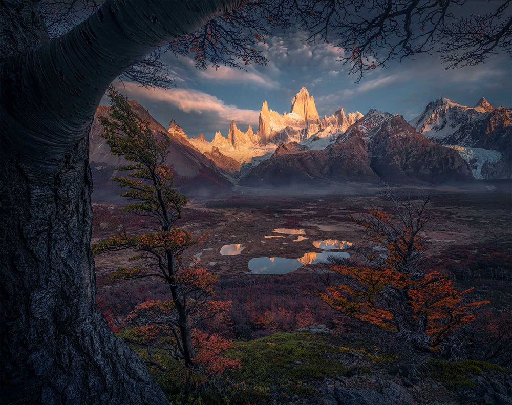 Orange autumn trees form a natural frame around Fitz Roy and the small lakes below.