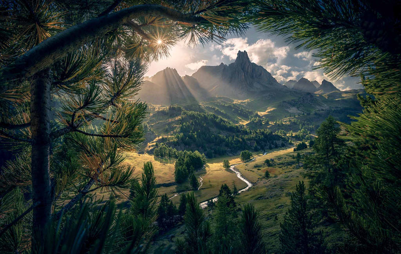 Framing the Scene: Composition Techniques in Landscape Photography