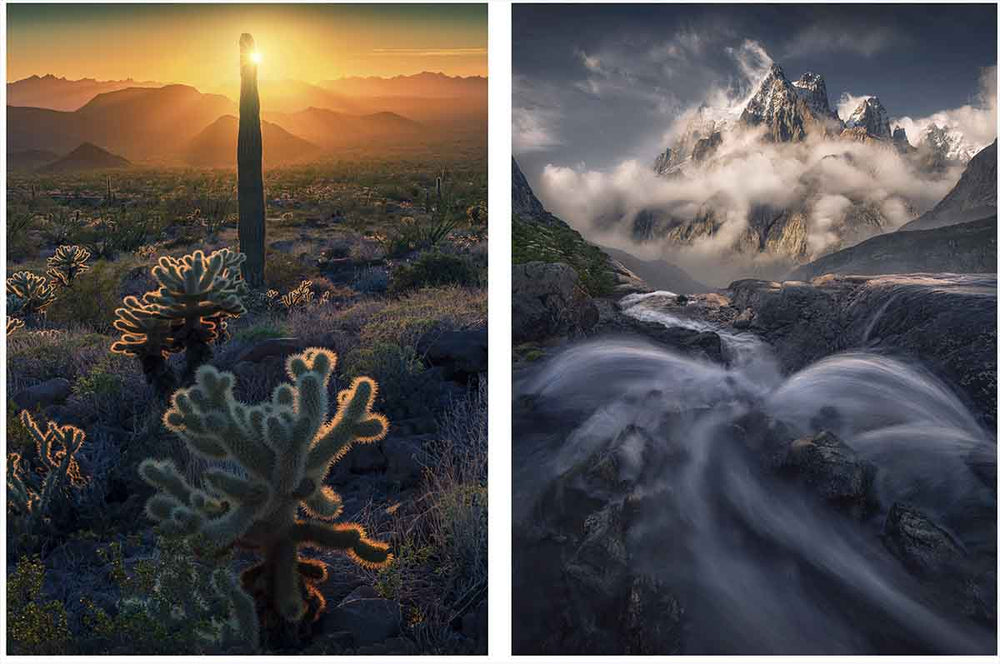 a tall cactus and smaller spikey cactus bushes in kofa during a golden sunrise with layers of mountains in background.