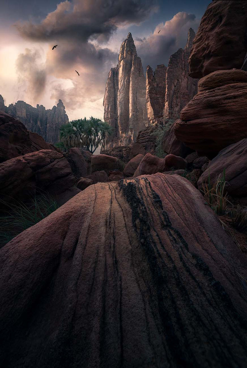 Grooved red rock and a green tree beneath tall sandstone cliffs in Saudi Arabia.