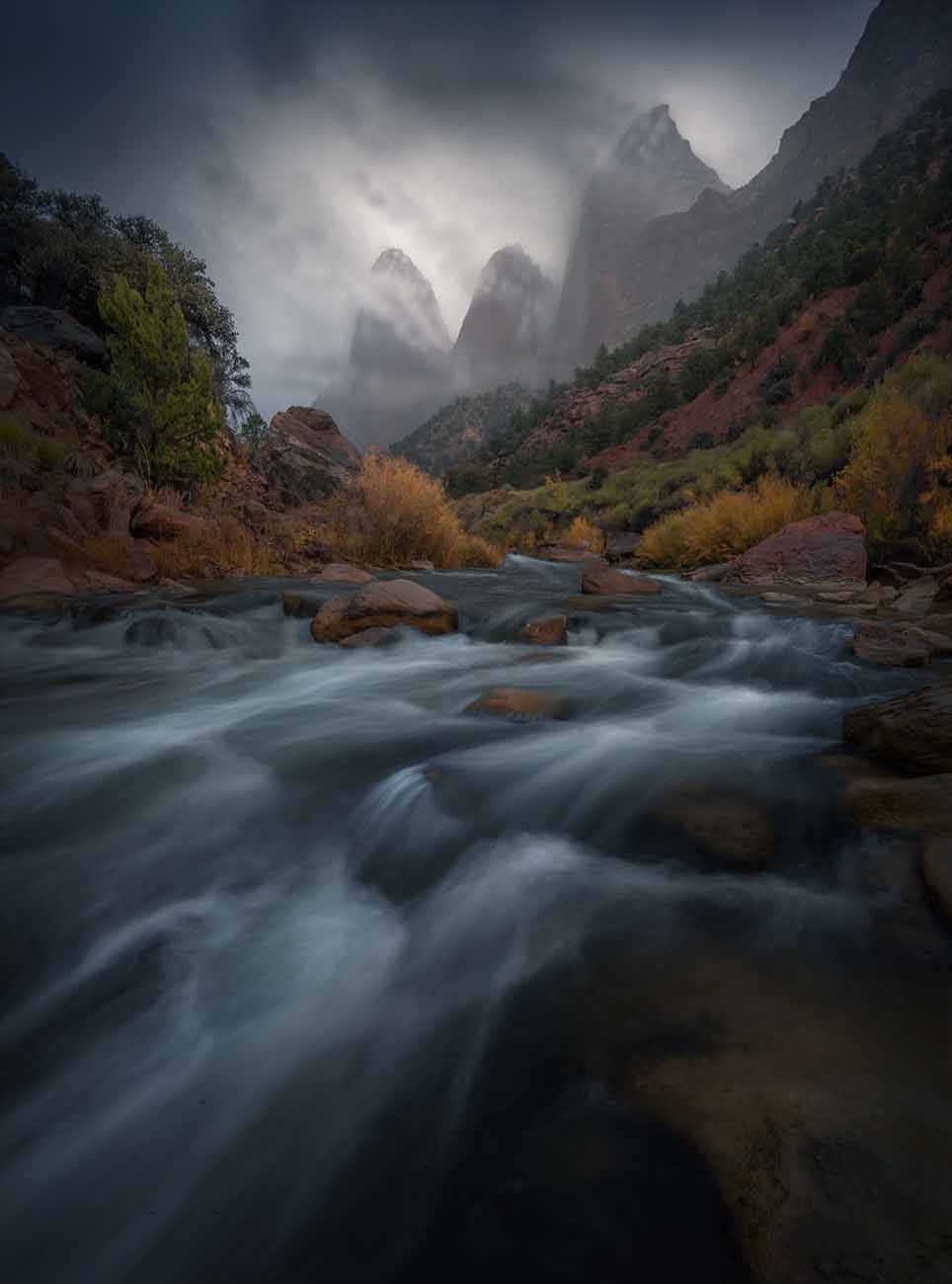 In Zion national park the moody autumn colured forest lines the hillside and golden trees frame a stream. In the background the three rocky mountain peaks are shrouded in mist and sunset light.