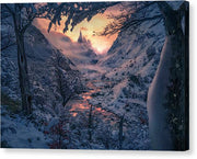 Sun in the Winter - Canvas Print