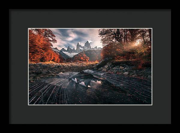 Sunlight Autumn - Framed Print