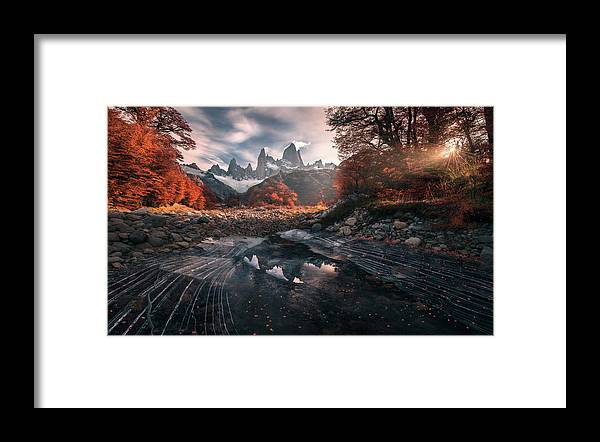 Sunlight Autumn - Framed Print