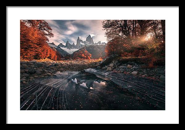 Sunlight Autumn - Framed Print