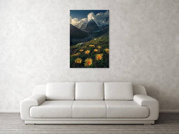 Andes Mountain Canvas Print hanged on wall in living room