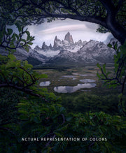 Green Tree Patagonia - Art Print
