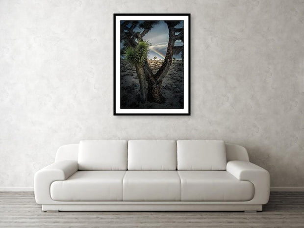 Joshua Tree framed print hanged on wall in living room