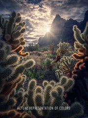 a sun next to high pointy mountains with a framing of cacti on the for and midground - vertical fine art landscape