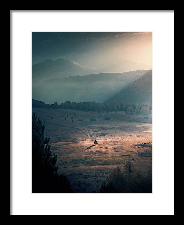 The lonely Tree - Framed Print